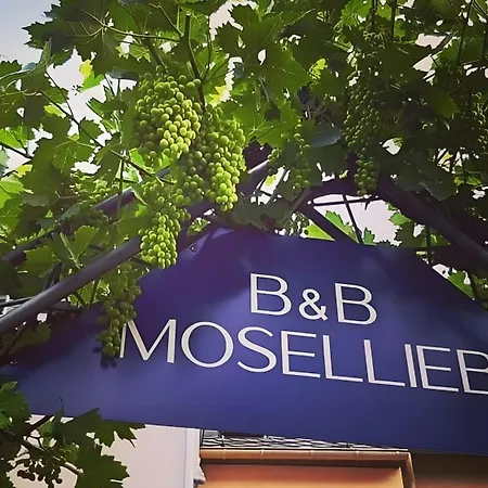 Haus Moselliebe Luxuszimmer Bed & Breakfast